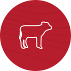 VEAU